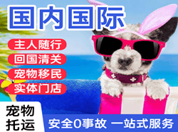 张家口国际宠物托运 【国